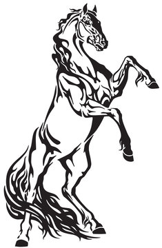 horse head tribal tattoo, logo, icon . Black and white vector illustration
