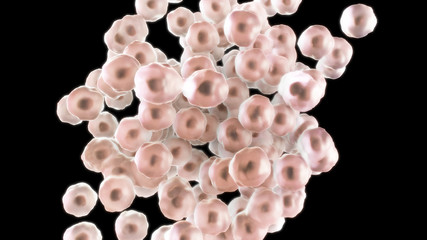 3D CG rendered image of dividing cell Stage 3