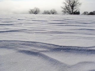 Zaśnieżone pole © Iwona