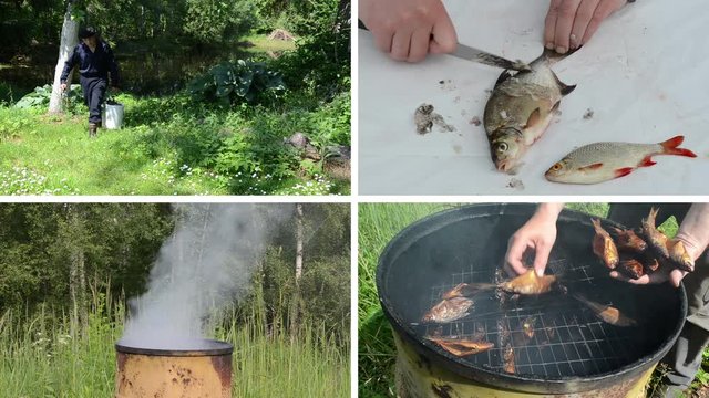 Fresh fish cleaning and preparing. Video clips collage.