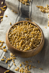 Raw Organic Dry Kamut Berries Grain