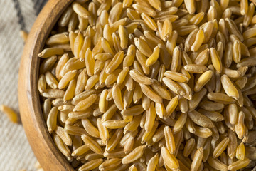 Raw Organic Dry Kamut Berries Grain