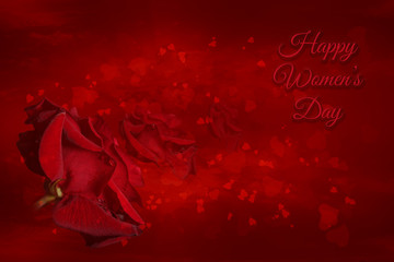 Red rose with drops of water on a red background with hearts in various shades of red and white stars and the words Happy Womens Day