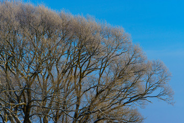 Winter frosty day outside the city