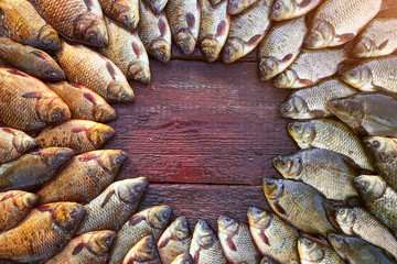 Caught carp fish on wood. Catching freshwater fish on wood background. Round a lot of bream fish, crucian or roach on natural wood background. Background from big quantity river fishes on wooden