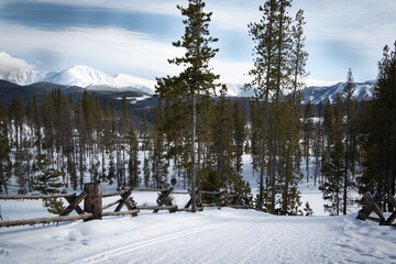 Snowy Mountain Range