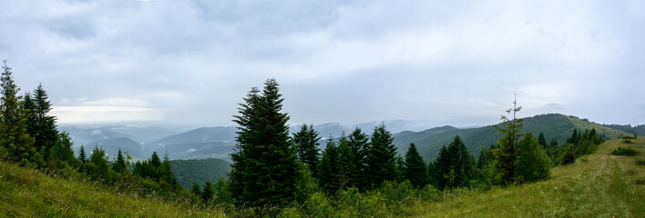 Fototapeta na wymiar Amazing panorama on the mountain Yavorinka in the Carpathians during the rain