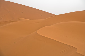 Fototapeta na wymiar Sand dunes in Erg Chebbi before sunrise, Sahara desert, Morocco, Africa