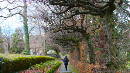 Woman Autumn, Mujer en Otoño, paseo, walking