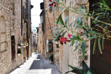 Traditional italian medieval alley in the historic center of beautiful little town of Spello , in Umbria region - central Italy