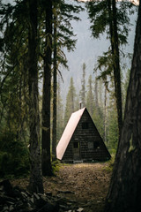 A frame cabin in the woods