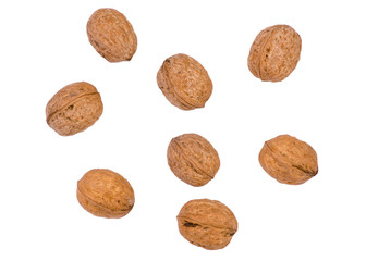 Walnuts on white background