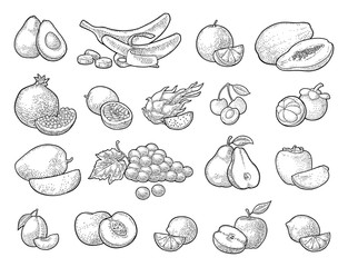 Set tropical fruits. Vector black vintage engraving isolated on white