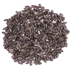 Sunflower seeds on white background