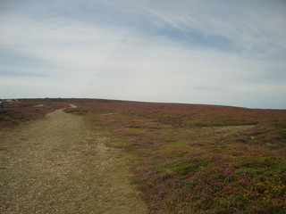 SAMSUNG DIGITAL CAMERA