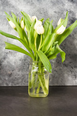 White tulips in glass jar. Gray background.
