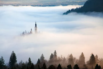 Wallpaper murals Forest in fog amazing sunrise at lake Bled from Ojstrica viewpoint, Slovenia, Europe - travel background