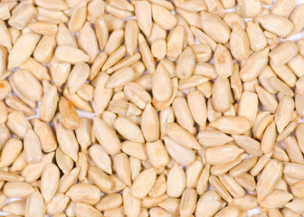 Sunflower seeds on white background