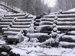 sople lodu w leśnym potoku © barbara