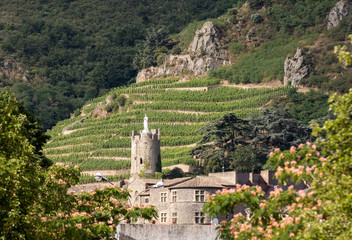 View of the M. Chapoutier Crozes-Hermitage vineyards in Tain l'Hermitage, Rhone valley, France - obrazy, fototapety, plakaty