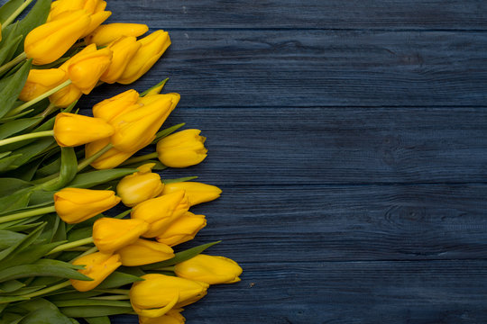 Yellow tulips on blue wooden background. Spring background with tulips, copy space for text. Flat lay, top view.