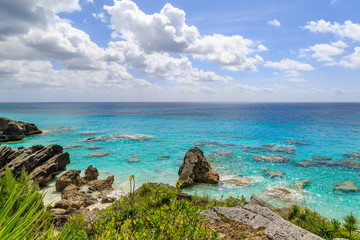 Obraz premium Bermuda Landscape