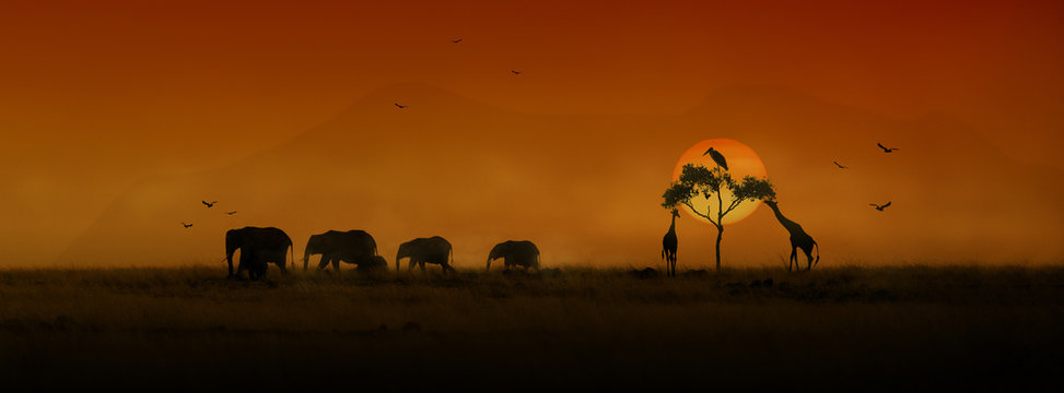 African Animals Sunset Silhouette Banner