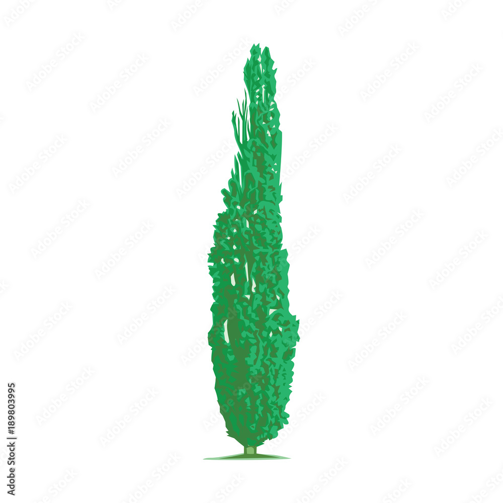 Poster Pine Tree Vector