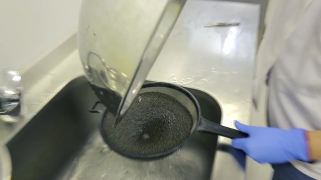 production of black caviar