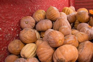 Pumpkins for sale at the fair