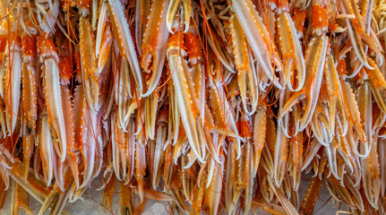 Naklejka premium Close up view of many squid in a market in Howth Dublin