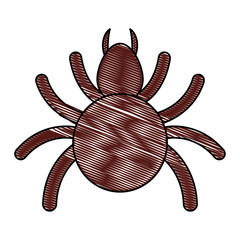 tick insect icon