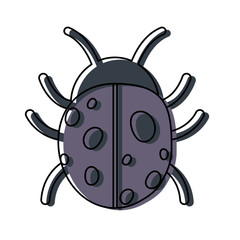 Ladybug icon image