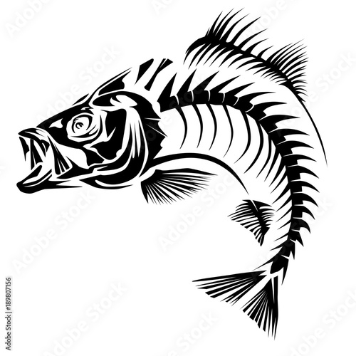 Download "Bass skeleton isolated on white" Stock image and royalty ...