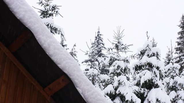 Shed In The Mountain With Fir Trees Next To It While Snowing