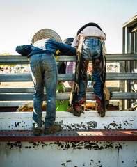 assisting with the riders at a Rodeo