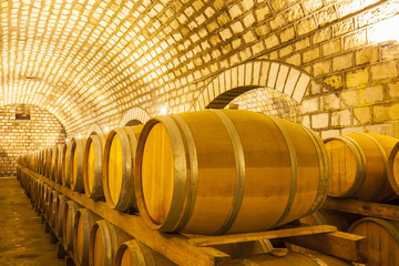  Wine Cellar with Wooden Barrels