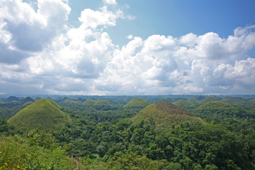 Fototapeta na wymiar View of the chocolate hills, in Bohol province of the Philippines