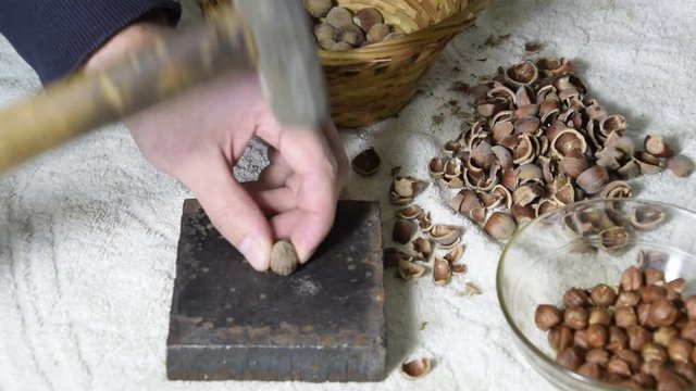 Chipping the hazelnuts with a hammer on the table. Smoothing of hazelnut on a slaty substrate.
