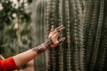 Hand touching a cactus. Hand with henna tattoo touching a cactus © Juanje Garrido