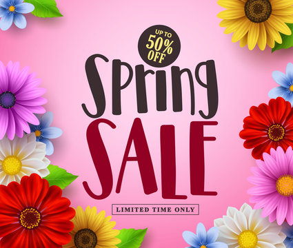 Spring sale vector banner design with text and colorful flowers like daisy and sunflower in pink floral background for spring season discount promotion. Vector illustration.
