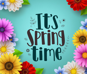 It's spring time text vector greeting design with colorful spring flower elements like daisy and sunflower in green floral background for spring season. Vector illustration.
