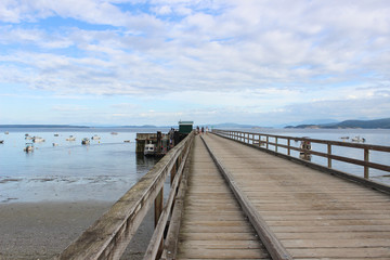 Fototapeta na wymiar Island Pier in the Ocean