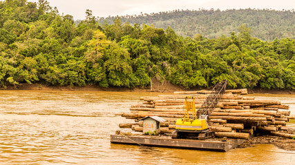 heavy machinery loading timber into barge then transported through the river. Forest exploitation
