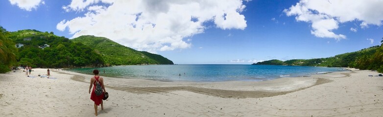 Fototapeta na wymiar Caribbean Beach Panorama