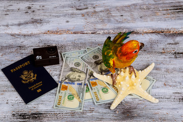 camera passport and parrot money for vacations on sea star wood background