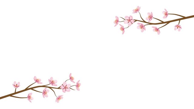 Blooming Cherry Blossom flower and Falling Petals Animation -Two branches