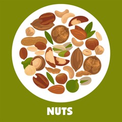 Delicious nutritious nuts advertisement banner with italic sign inside big circle isolated vector illustration