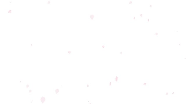 Loop-ready File - Falling down Cherry blossom Petals