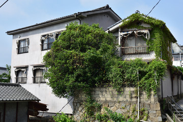 尾道で見つけた廃墟